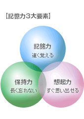 記憶力3大要素