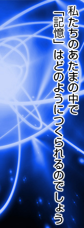 基本は普通の読書です。それをすばやく行うのです。