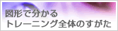 図形でわかるトレーニング全体のすがた