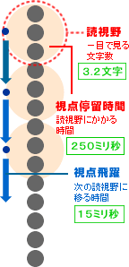 通常の読書の図