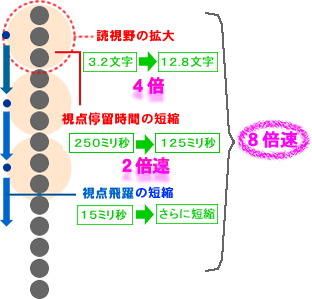 速読の読書の図