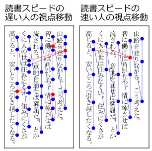 視線の動きの違い