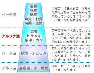 脳波・脳波レベル・脳の状態