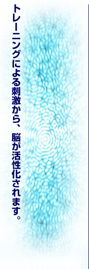 トレーニングによる刺激から、脳が活性化されます。