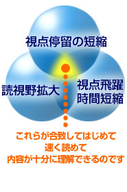 読視野拡大視点停留の短縮視点飛躍時間の短縮これらの要素が合致してはじめて速く読めて内容が十分に理解できるのです